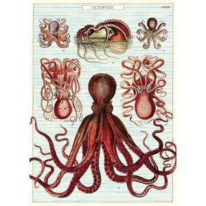 Schulteller – Oktopus