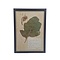 Antieke Botanische lijst (D)