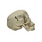 Human skull (B)