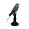 Opgezette blauwe grasparkiet