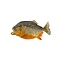 Piranha Magnet
