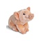 Biggetje knuffel