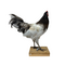 Mounted rooster (B)