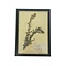 Antieke Botanische lijst (G)