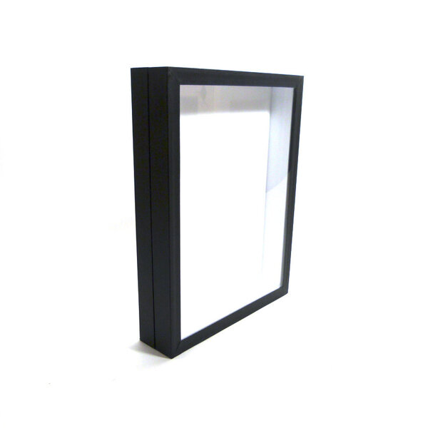 Insektenschachtel schwarz 23 x 30 x 5.50 cm