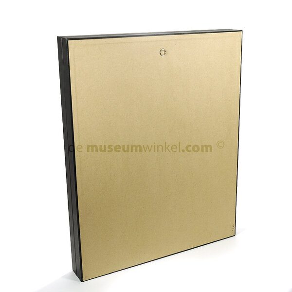 Insect box black 40x50 cm