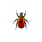 Rhomborrhina flammea flammea - rood