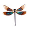 Euphaea refulgens - Dragonfly