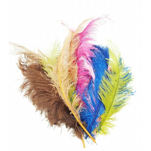 10x ostrich feathers in color
