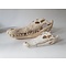 Skull of Siamese crocodile +/- 55 cm