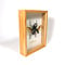 Insect box wood 23 x 30 cm