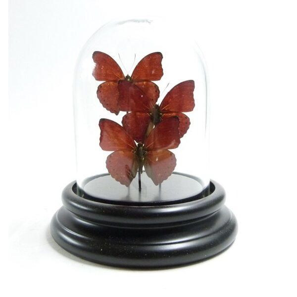 Stolp  - 12 cm x 9 cm