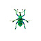 Eupholus sp - bunte Käfer