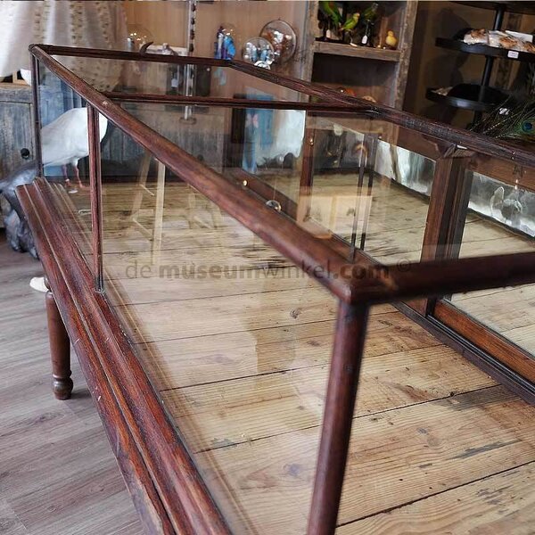 Antique display cabinet