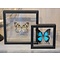 Mounted butterflies (2) in double glass frame - Idea leuconoe obscura and Papilio ulysses ulysses