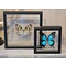 Opgezette vlinders (2) in dubbel glas lijst - Idea leuconoe obscura en Papilio ulysses ulysses