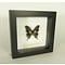Exclusive black frame 16 x 16 cm