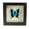 Exclusieve zwarte lijst 16 x 16 cm