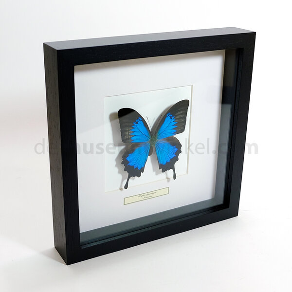 Exclusive black wooden frame 25 x 25 cm