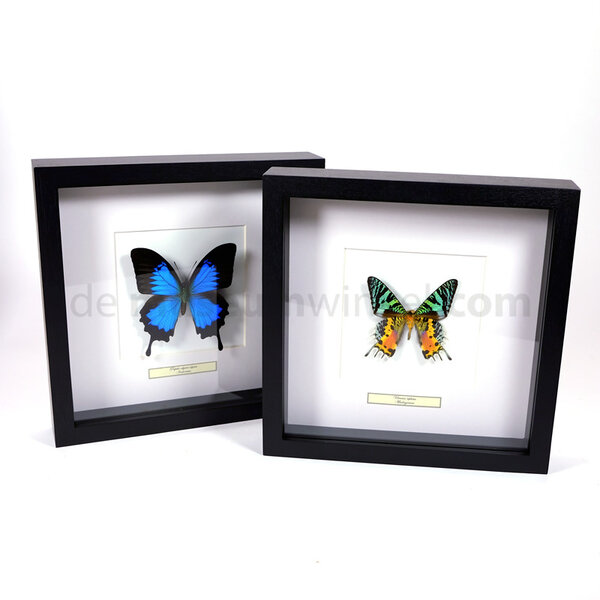 Exklusiven schwarzen Holzrahmen 25 x 25 cm