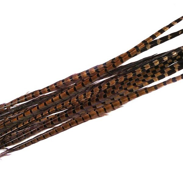 Bosfazant veren (per 5 stuks) 45 cm - 50 cm