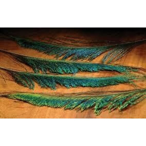 Pauwenveren  swords (10 stuks) 30 cm