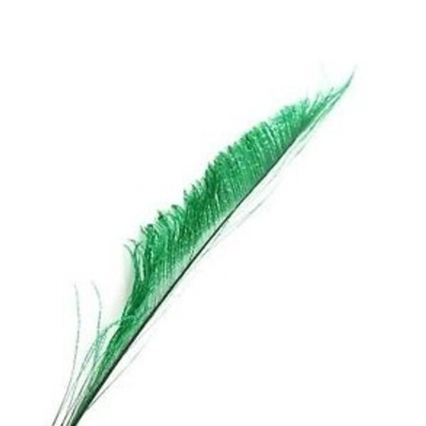 Peacock swords feathers (per 10 )