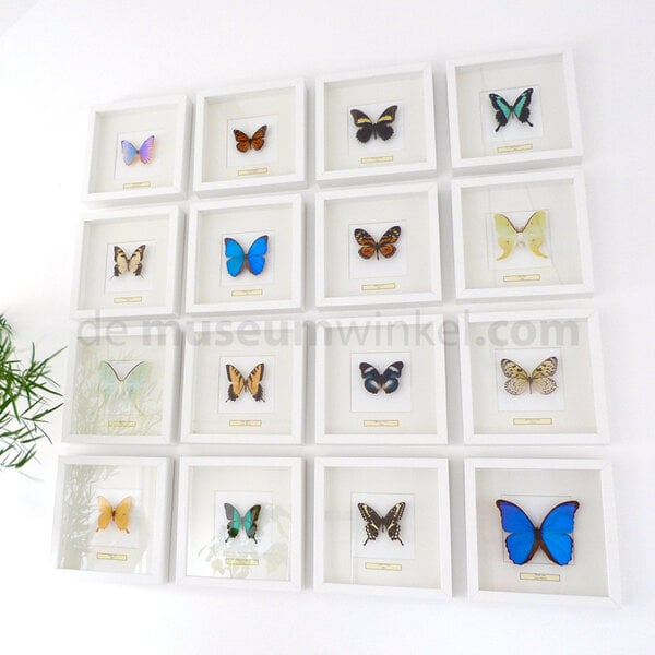 Exclusive white wooden frame 25x25 cm 