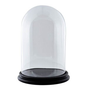 Glass dome* - 30 cm x 20 cm