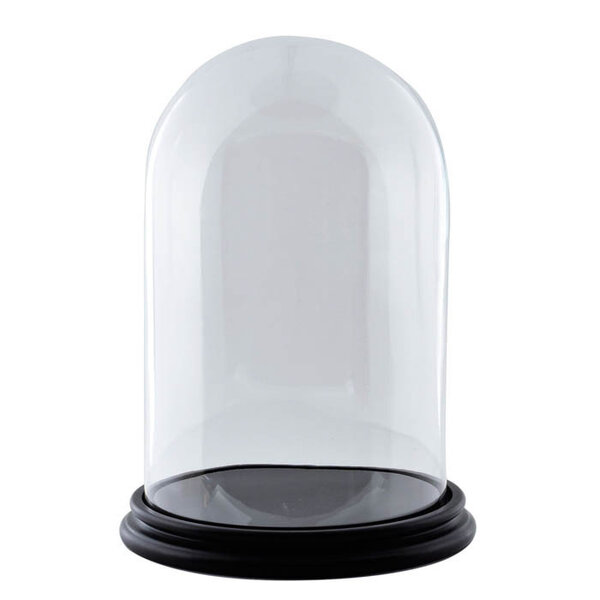 Glass dome* - 30 cm x 22 cm