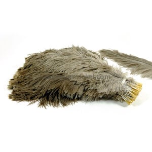 Ostrich feather Grey drapfloss A+ quality