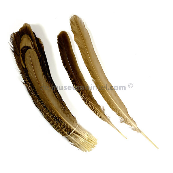 Pauwen vleugelveer (per 10 stuks) 35-45 cm