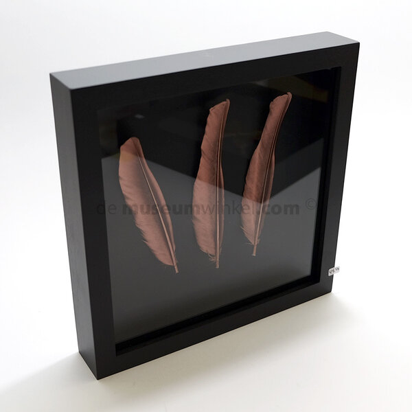 Koper kleur veren in lijst