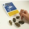 Dissection kit: 5 tawny owl pellets, 5 tweezers and determination sheet (Dutch)