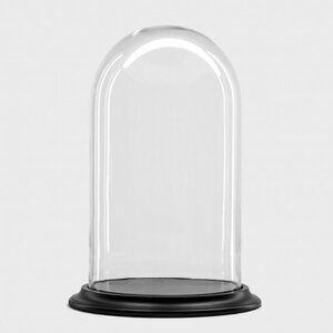 Glass dome - 45 cm x 25 cm