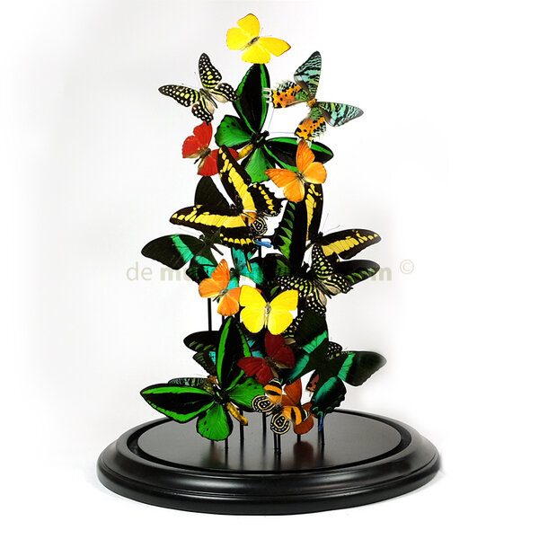 Glocke mit tropischen Schmetterlingen (XL)