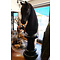 Friesian horse as chess piece