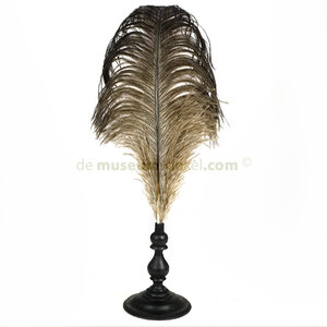 Ostrich feather on pedestal
