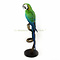 Mounted harlequin macaw