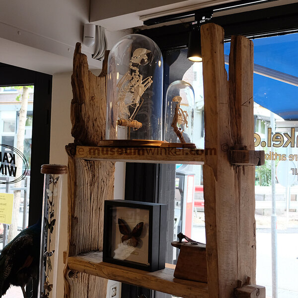 Robust handmade bookshelf made of acacia wood (a)