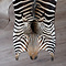 Hartmanns Zebra huid