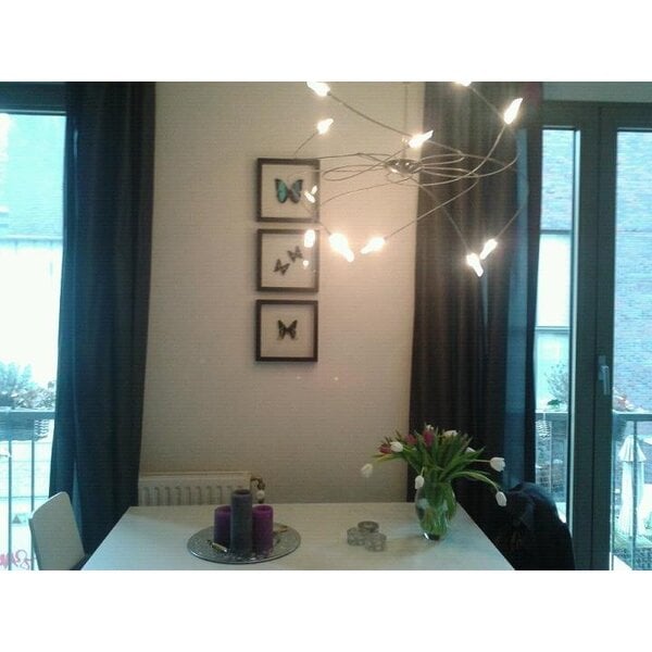 Graphium weiskei - kopfseite