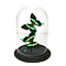 De museumwinkel.com Glocke mit Papilio Blumei (2)