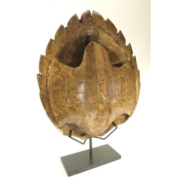 Schildkröte Schild auf Sockel (L) - Replik