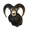 Mounted mouflon trophy