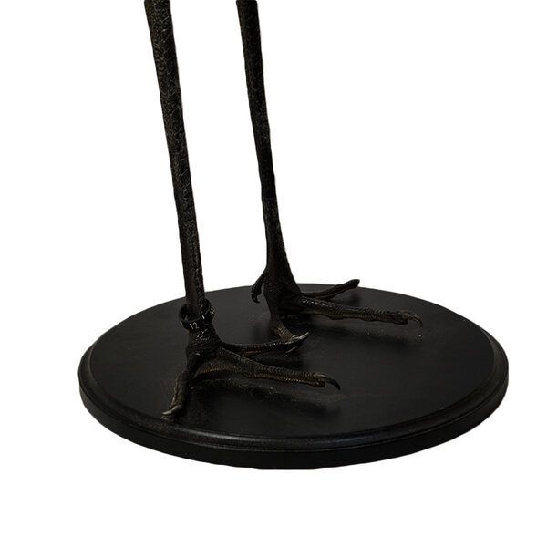 Opgezette paradijskraanvogel