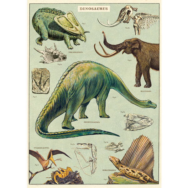 School poster - Dinosaurs (A)