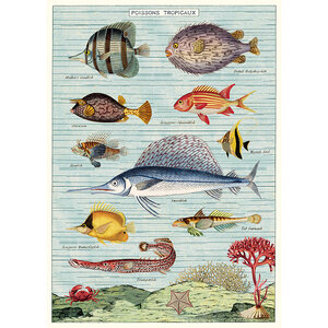 School poster - fish