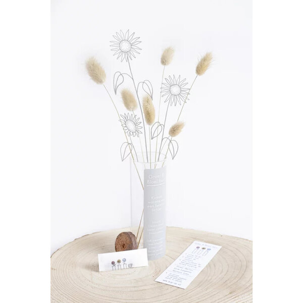 Groei en bloei buis  - zonnebloem pitten