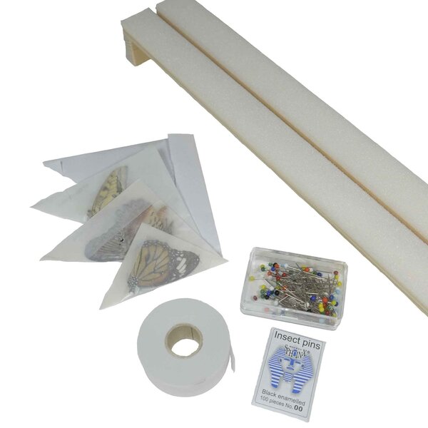 Butterfly preparation set - butterflies included